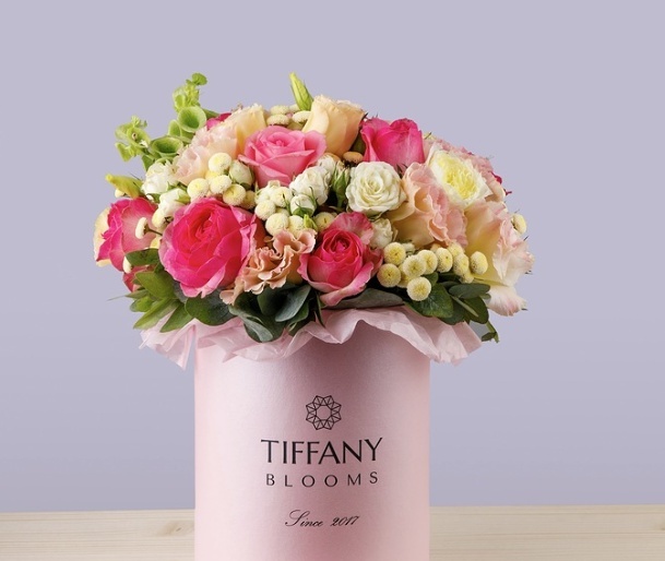 Tiffany Box №5