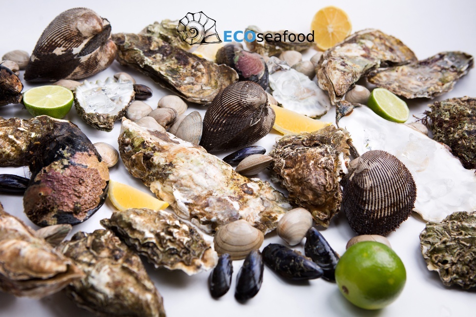 ECOSEAFOOD
